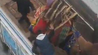 Deveye sopalı işkence 