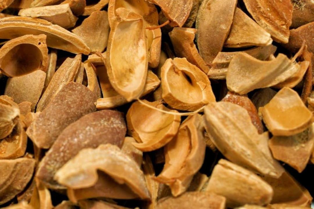 Kayısı &ccedil;ekirdeğinin kabuğu yıllık 12 milyon lira kazandırıyor