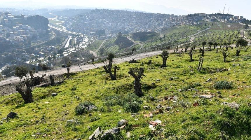 Kale’de yeşil seferberlik