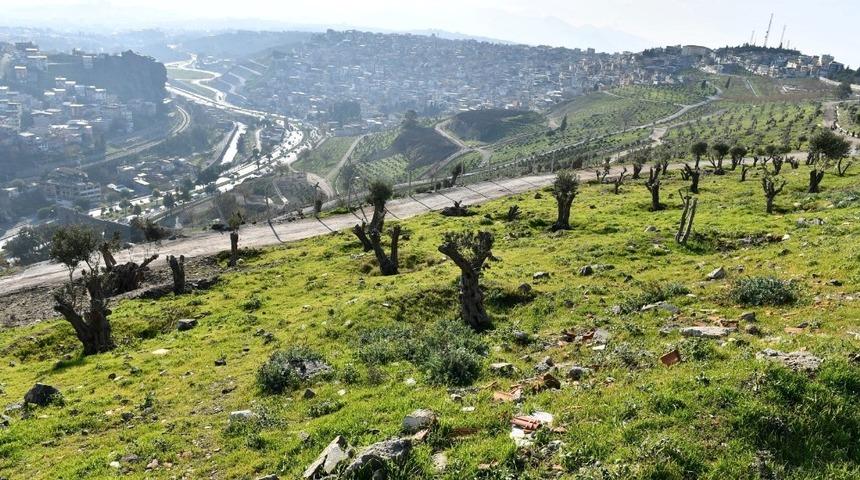 Kale’de yeşil seferberlik