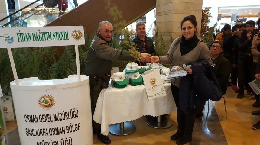 Şanlıurfa&rsquo;da &uuml;cretsiz fidan dağıtıldı