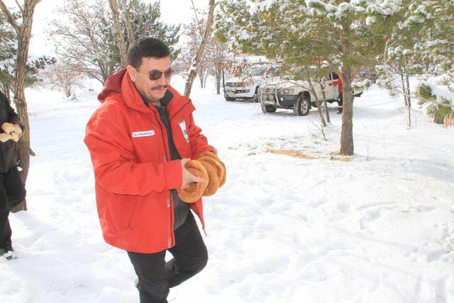 Erzincan'da yaban hayvanlarına bu kış 6,5 ton yem bırakılacak