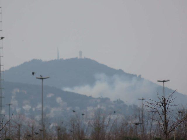 Büyükada'da ormanlık alanda yangın (1)