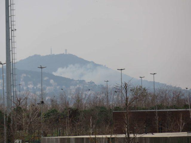 Büyükada'da ormanlık alanda yangın (1)