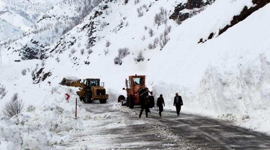 Hakkari-Şırnak yolu &ccedil;ığ d&uuml;şmesi sonucu kapandı
