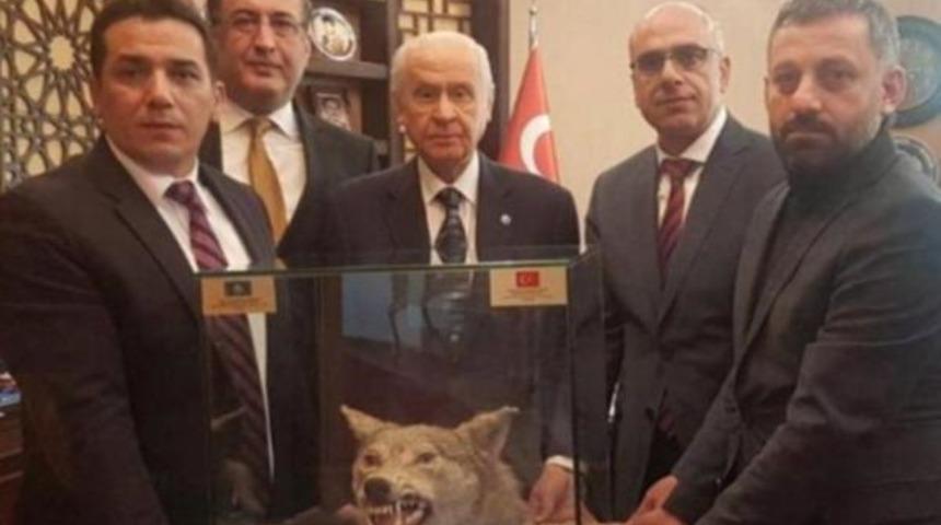 Bah&ccedil;eli'ye doğum g&uuml;n&uuml;nde kurt kafası hediyesi!