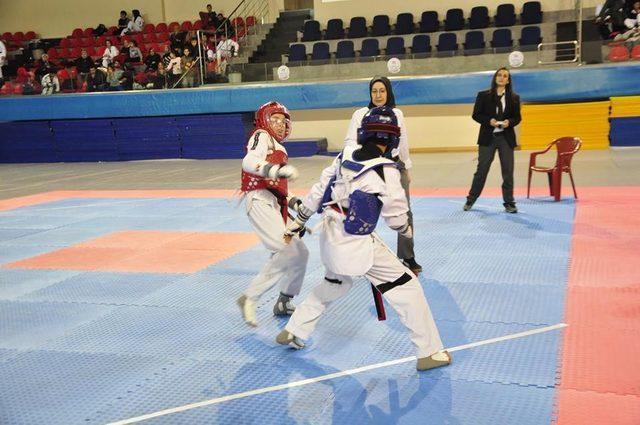 Okullar arası Taekwondo müsabakaları tamamlandı