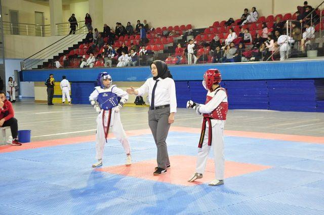 Okullar arası Taekwondo müsabakaları tamamlandı