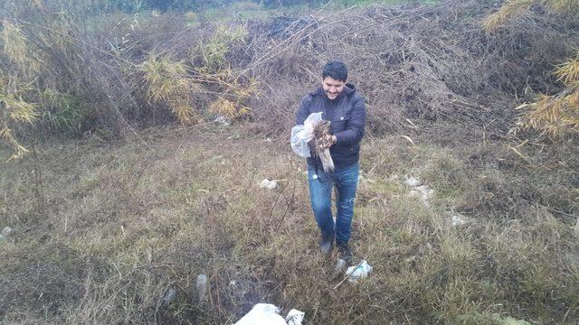 Yaralı şahini, hayvan sever vatandaş sahip çıktı