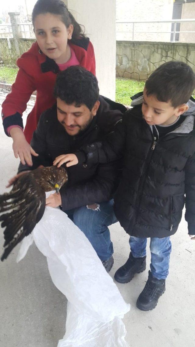 Yaralı şahini, hayvan sever vatandaş sahip çıktı