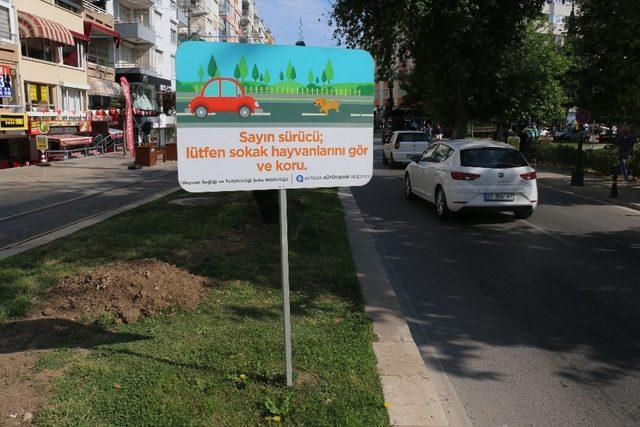 Büyükşehir, sokak hayvanlarını yalnız bırakmadı