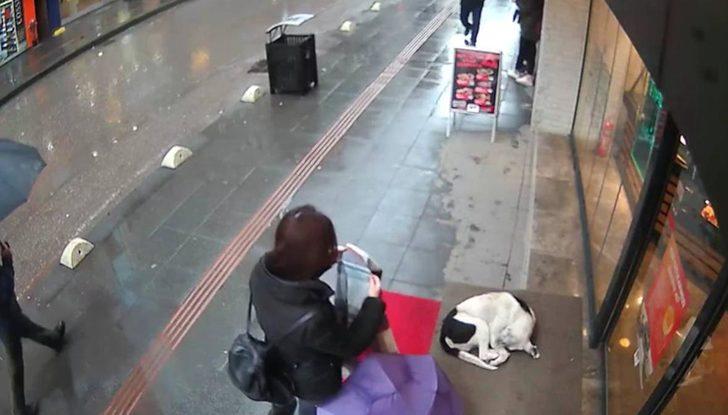 Şalıyla sokak köpeğinin üzerini örttü! G2