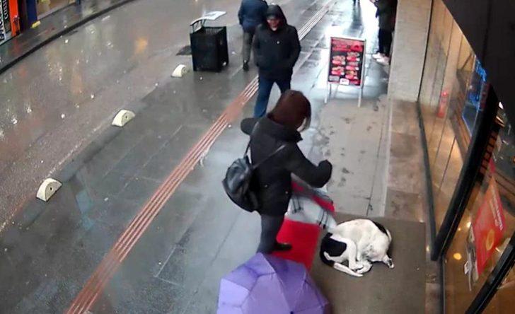 Şalıyla sokak köpeğinin üzerini örttü! G3