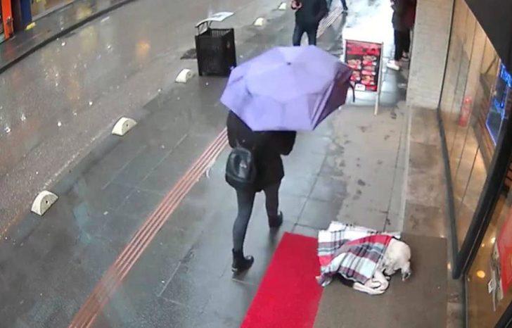 Şalıyla sokak köpeğinin üzerini örttü! G5