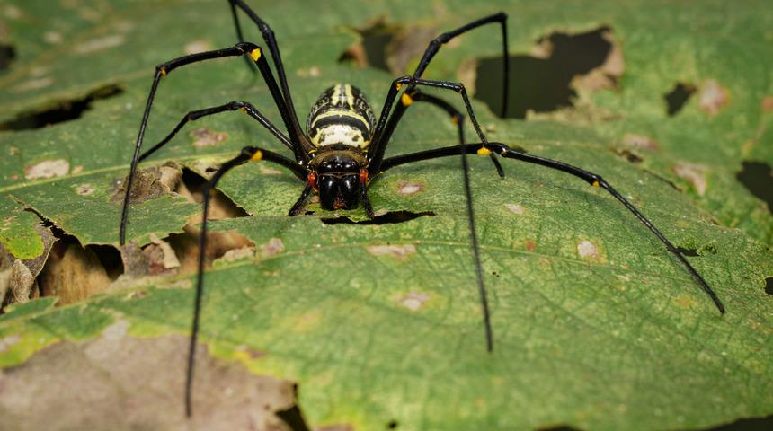 Polis cinayet sandı ama işin aslı çok farklıydı
