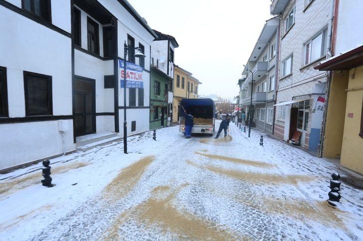 Odunpazarı’nda karla mücadele çalışmaları G4