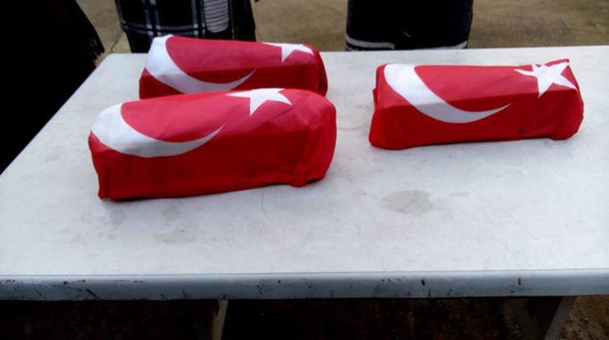 &Uuml;&ccedil;&uuml;z bebekler yalnızca 1 g&uuml;n hayatta kalabildi... Y&uuml;rek yakan fotoğraf!