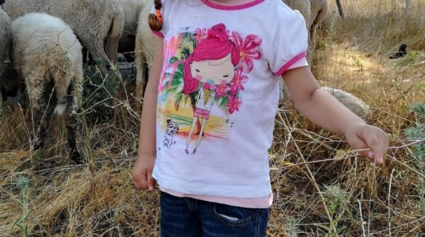 L&ouml;semili &Ouml;yk&uuml; Arin i&ccedil;in kan bağışı kampanyası d&uuml;zenlenecek