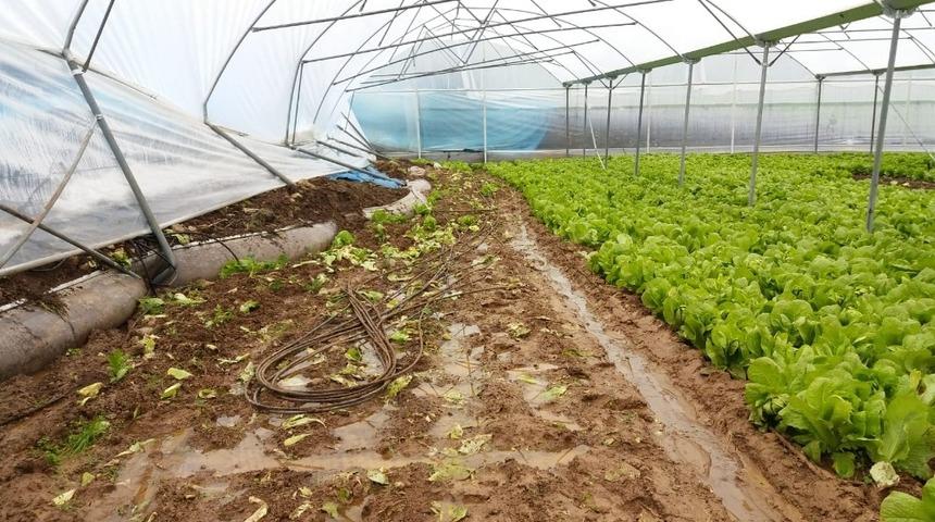 Toprak kayması ve sel seraya zarar verdi