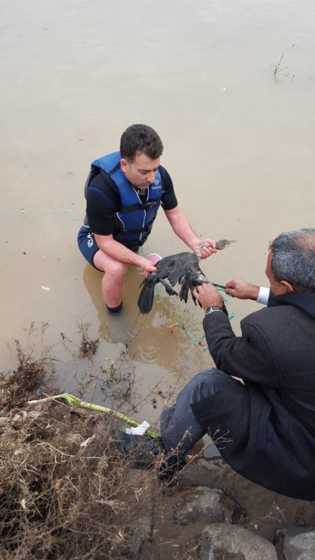 Cizre’de nehirde ayağına olta ipi dolanan ördeği itfaiye kurtardı