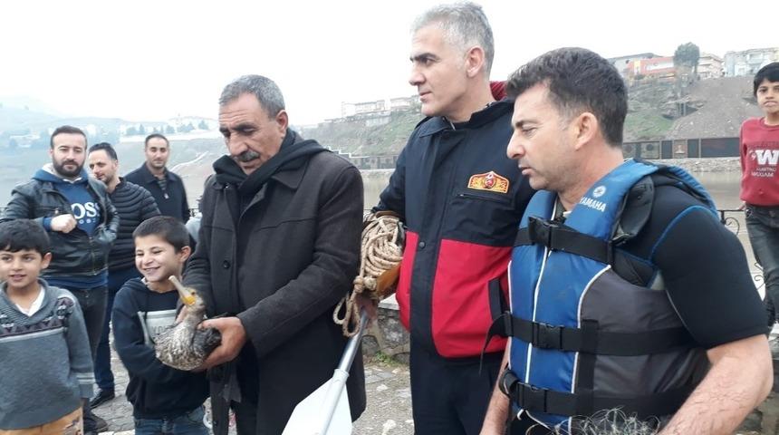 Cizre&rsquo;de nehirde ayağına olta ipi dolanan &ouml;rdeği itfaiye kurtardı