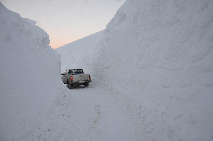 Bu kare Türkiye'de çekildi! Boyu 4 metreyi buldu G3