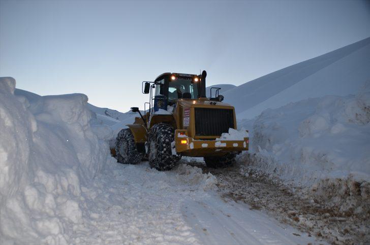 Bu kare Türkiye'de çekildi! Boyu 4 metreyi buldu G4