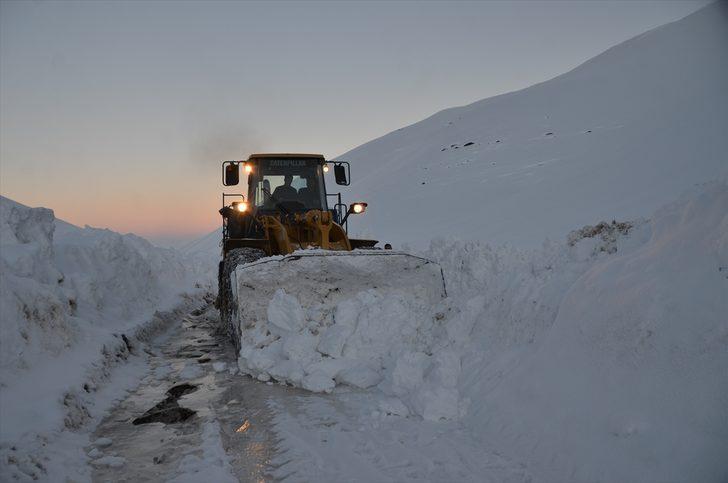 Bu kare Türkiye'de çekildi! Boyu 4 metreyi buldu G2