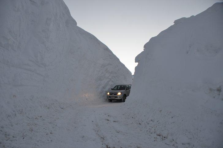 Bu kare Türkiye'de çekildi! Boyu 4 metreyi buldu G1
