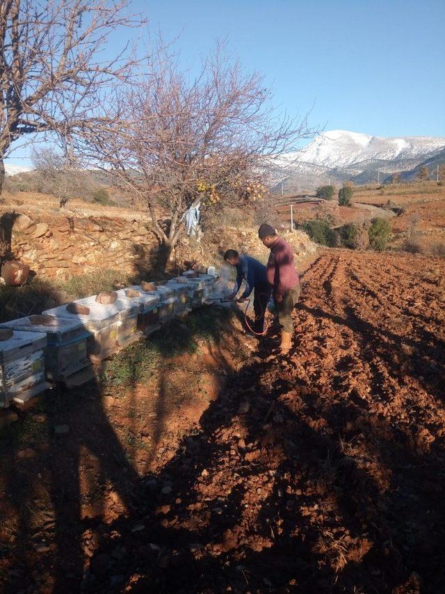 Aydın’da kış dönemi arı biti mücadelesi başladı