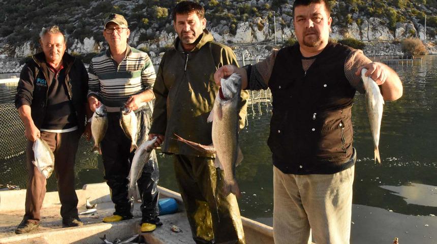 Beymelek Dalyanı canlıların doğal yaşam alanı