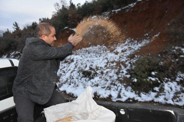 Başkan Uçak’tan soğuk havalarda kuşlar için yem desteği