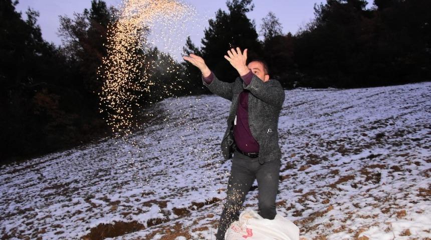 Başkan U&ccedil;ak&rsquo;tan soğuk havalarda kuşlar i&ccedil;in yem desteği