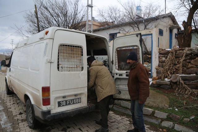 Aç ve donmak üzere olan yavru köpekler hayvan barınağına yerleştirildi