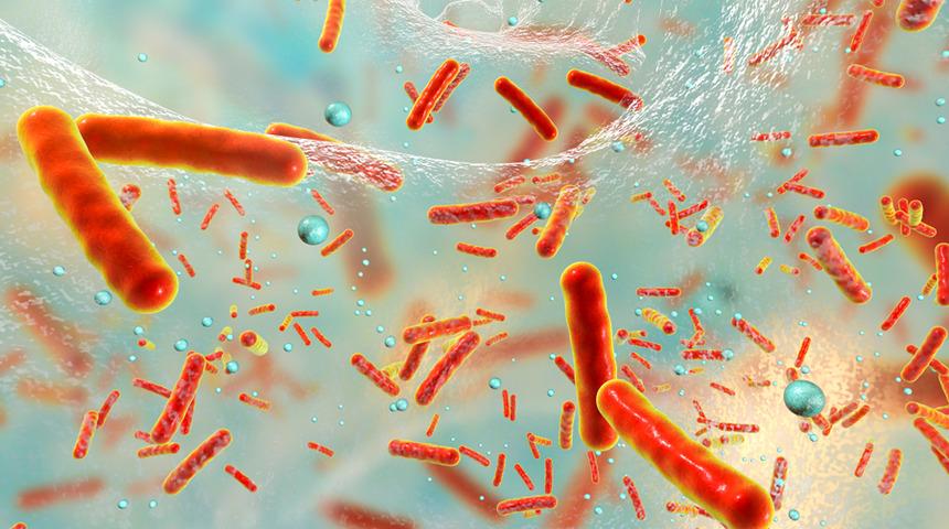 Probiyotik tüketiminde bilinmeyen detay: Eğer yanlış kullanırsanız...