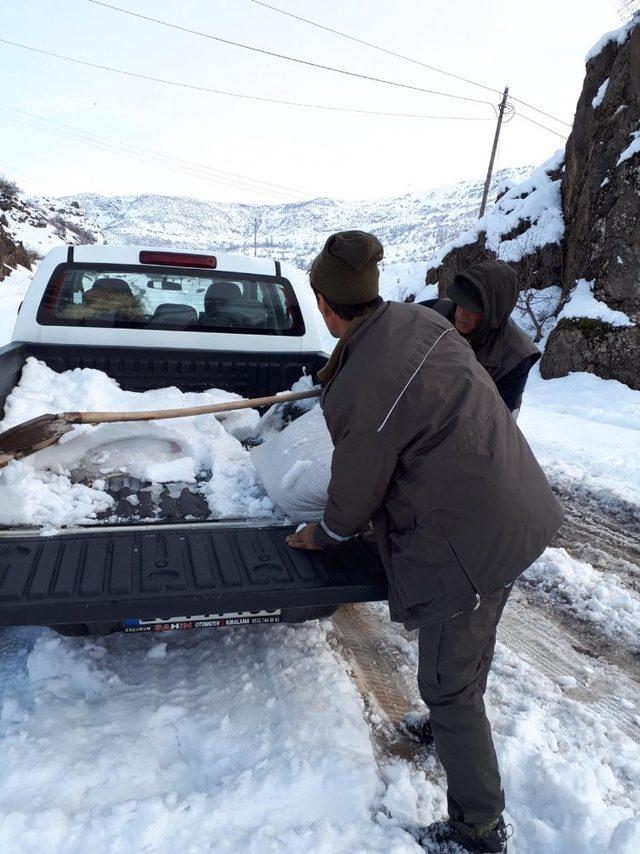 Bingöl’de yaban hayvanlar için doğaya yem bırakıldı