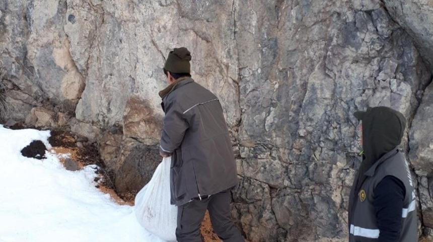Bing&ouml;l&rsquo;de yaban hayvanlar i&ccedil;in doğaya yem bırakıldı
