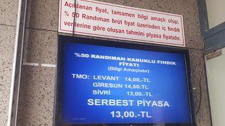 Fındık, serbest piyasada, TMO'nun gerisinde kaldı