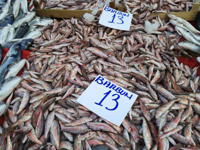 Denizlerdeki bolluk, balık fiyatlarını düşürdü