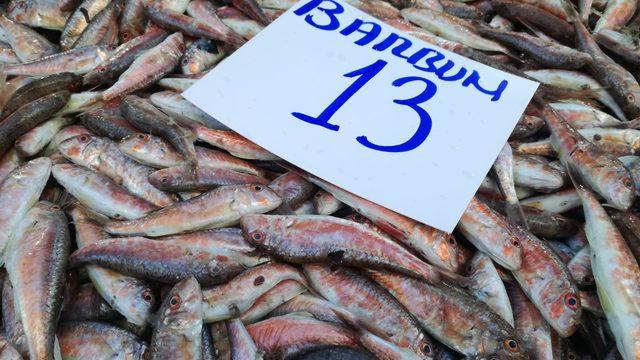 Denizlerdeki bolluk, balık fiyatlarını düşürdü