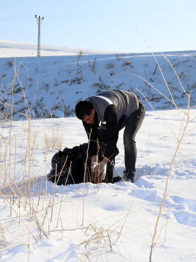 Van'da yaban ve sokak hayvanları unutulmadı