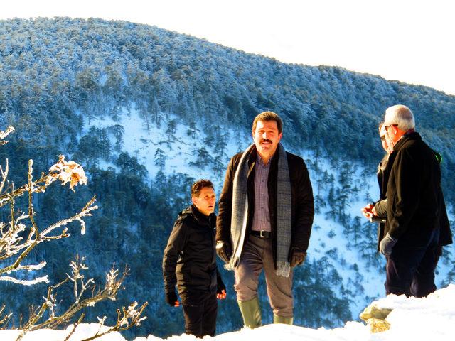 Troya, 2018'de zirveye çıktı