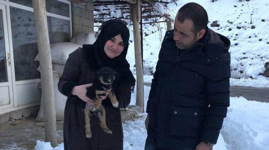 Donmak üzere olan yavru köpekler kurtarıldı