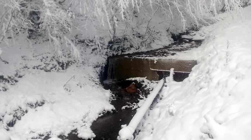 Pamukova H&uuml;seyinli G&ouml;leti SASKİ tarafından temizlendi