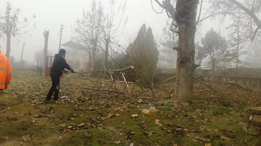 Budanan ağa&ccedil;lar aileleri ısıtacak
