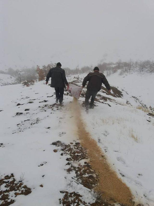 Elazığ’da yaban hayvanları için 2 ton yem bırakıldı