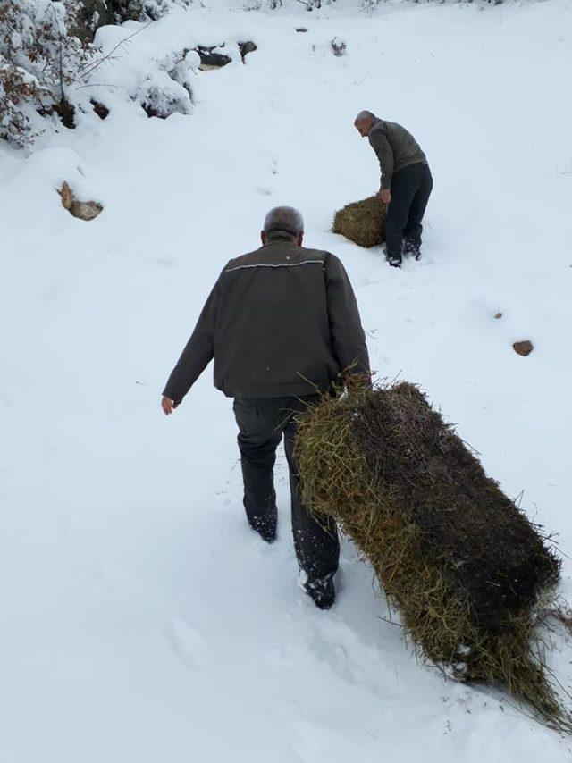 Elazığ’da yaban hayvanları için 2 ton yem bırakıldı