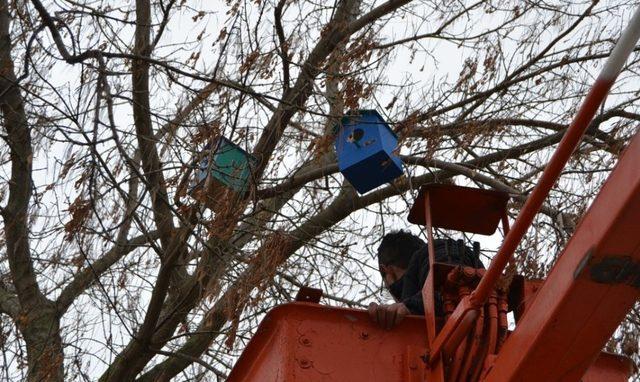 Öğrenciler kuşlar için ağaçlara yuva yaptı