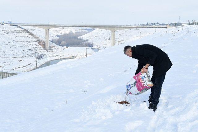 Sokak hayvanları ve kuşlar için doğaya yem bırakıldı