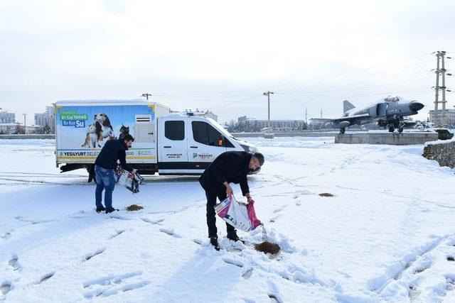 Sokak hayvanları ve kuşlar için doğaya yem bırakıldı